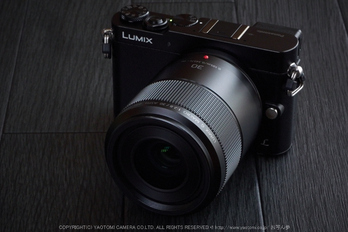 お写ん歩: Panasonic LUMIX G 42.5mm/F1.7 ASPH./POWER O.I.S.アーカイブ